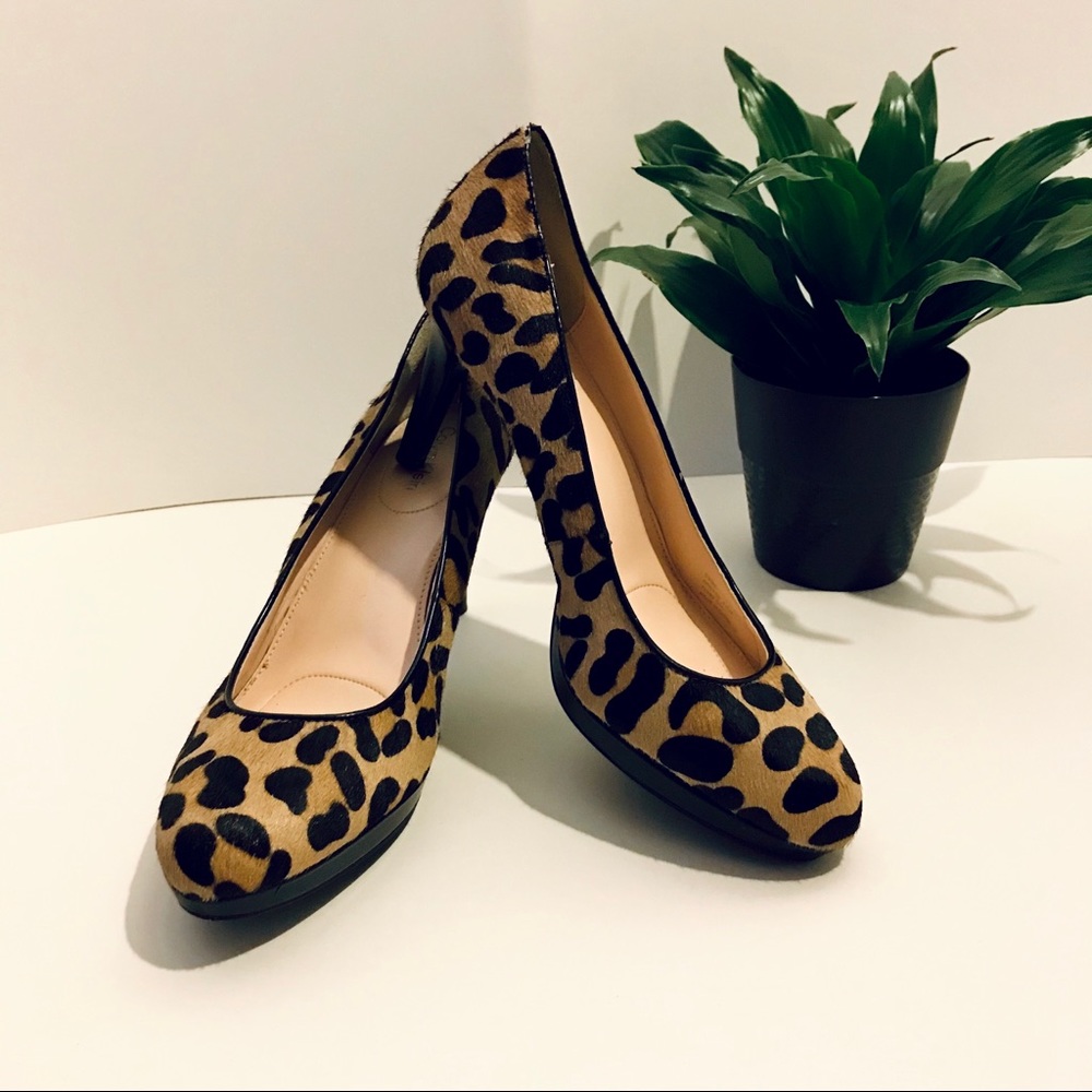 Calvin Klein Odette leopard pumps